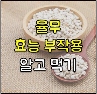 율무 효능과 부작용-1