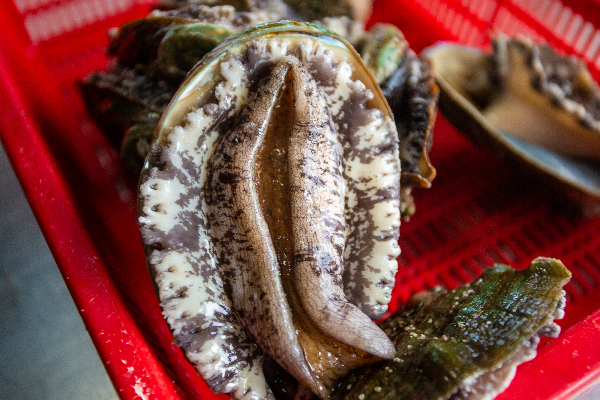 전복의 영양 성분