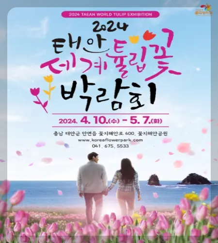 태안 튤립축제