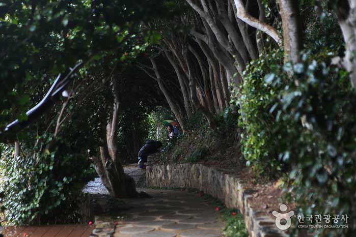 통영 가볼만한곳 베스트10