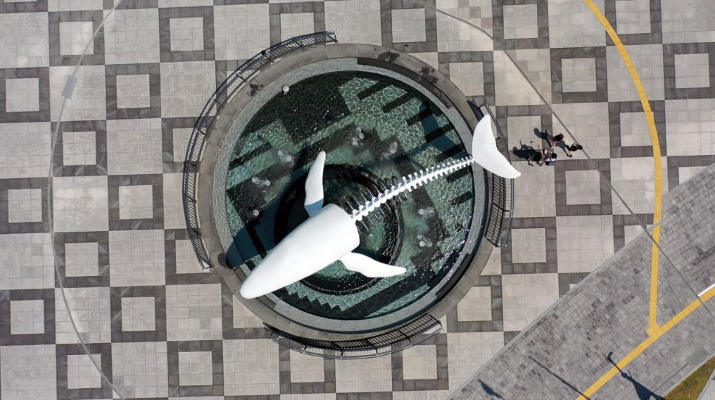 국립해양과학관