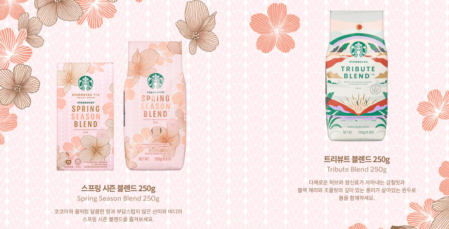 전국 벚꽃뷰 스타벅스 지점 벚꽃명소 BEST 06