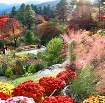 충청북도 11월 축제 일정표