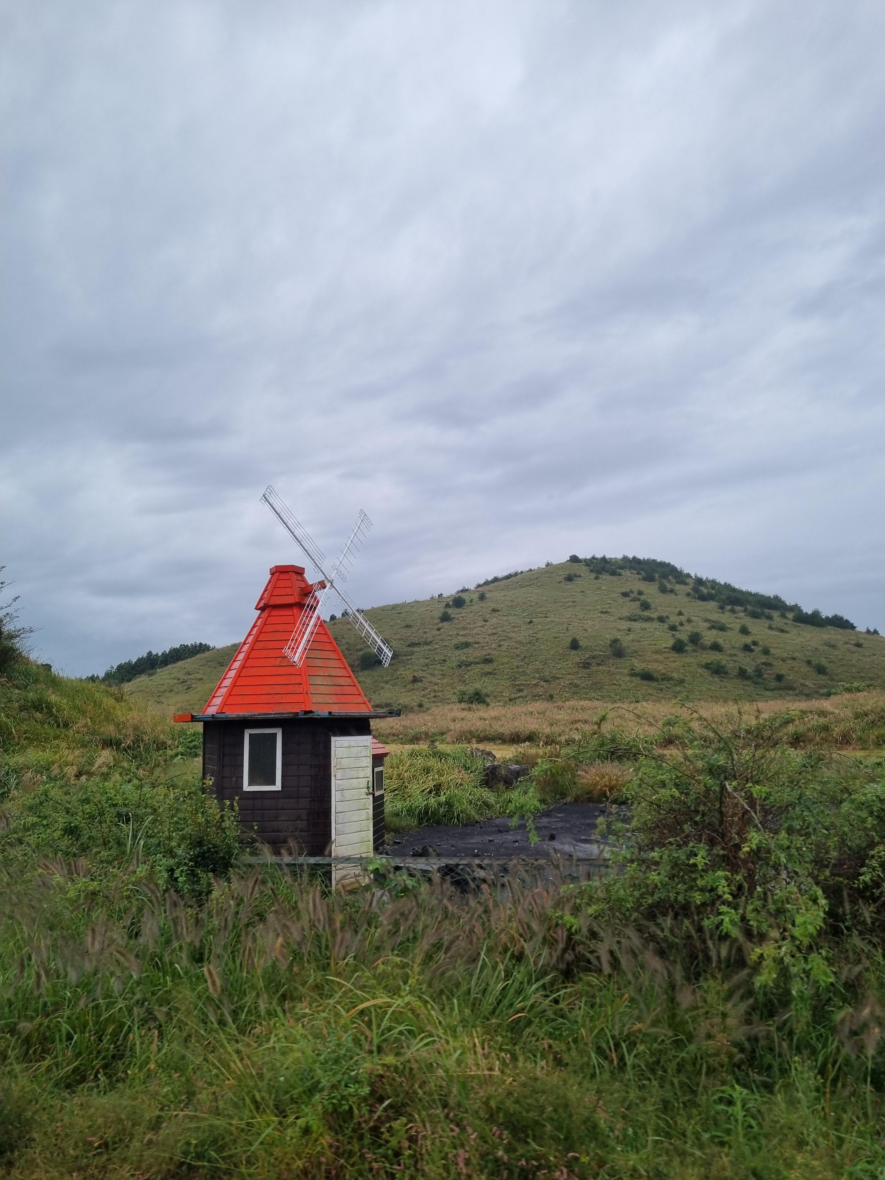 제주레일바이크