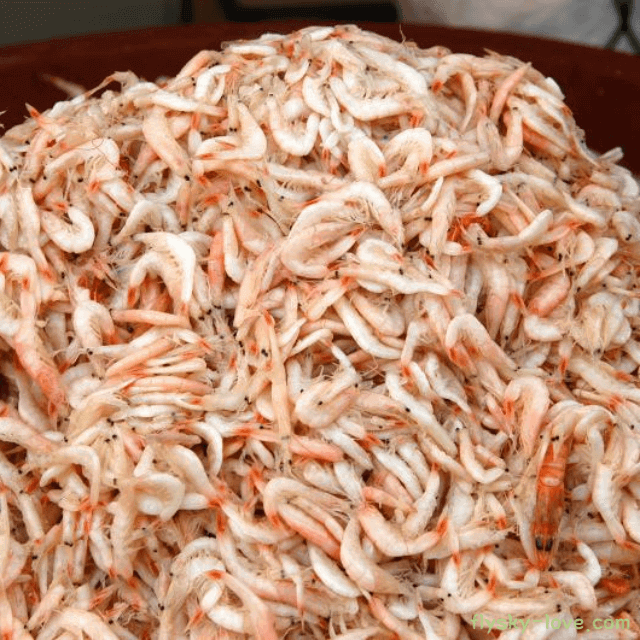 면역력 강화에 효과적인 새우젓