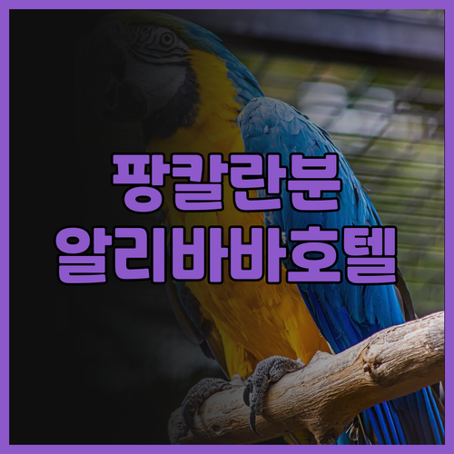 알리바바 호텔 팡칼란 분 숙박 후기