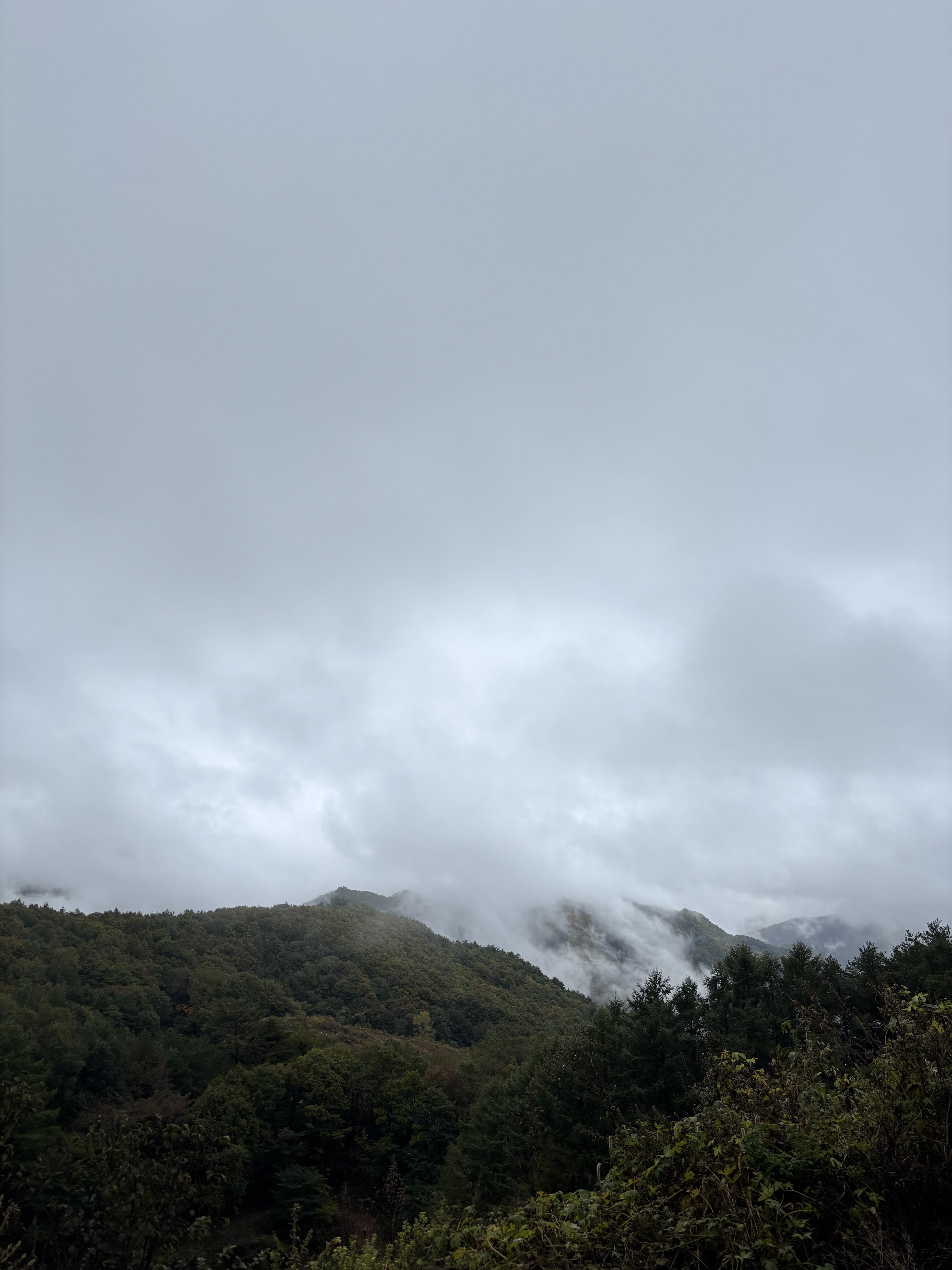 민둥산
