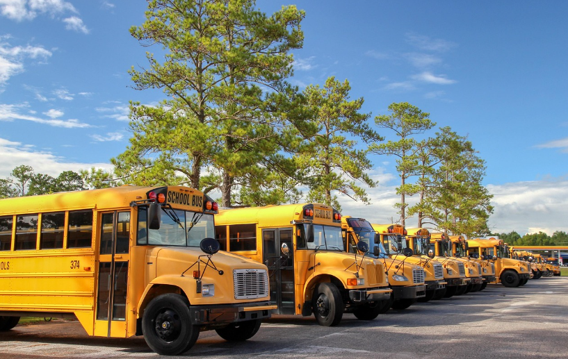yellow school buses all lined up