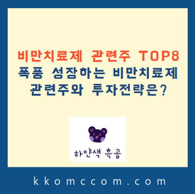 비만치료제 관련주 포스팅 썸네일