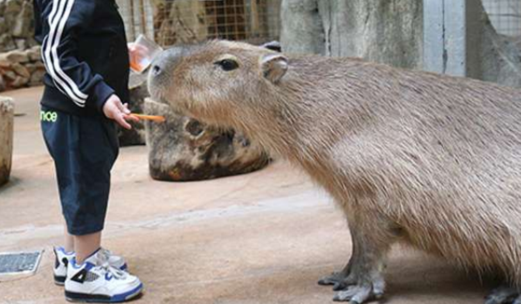 대구 네이처파크