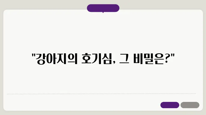 강아지가 자동차 창밖을 내다보는 이유