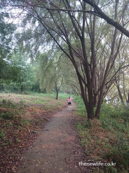 서울 맨발 걷기 좋은 장소 &ndash; 나무 그늘 아래 이어진 한강변 자연 진흙길 맨발 걷기 장소