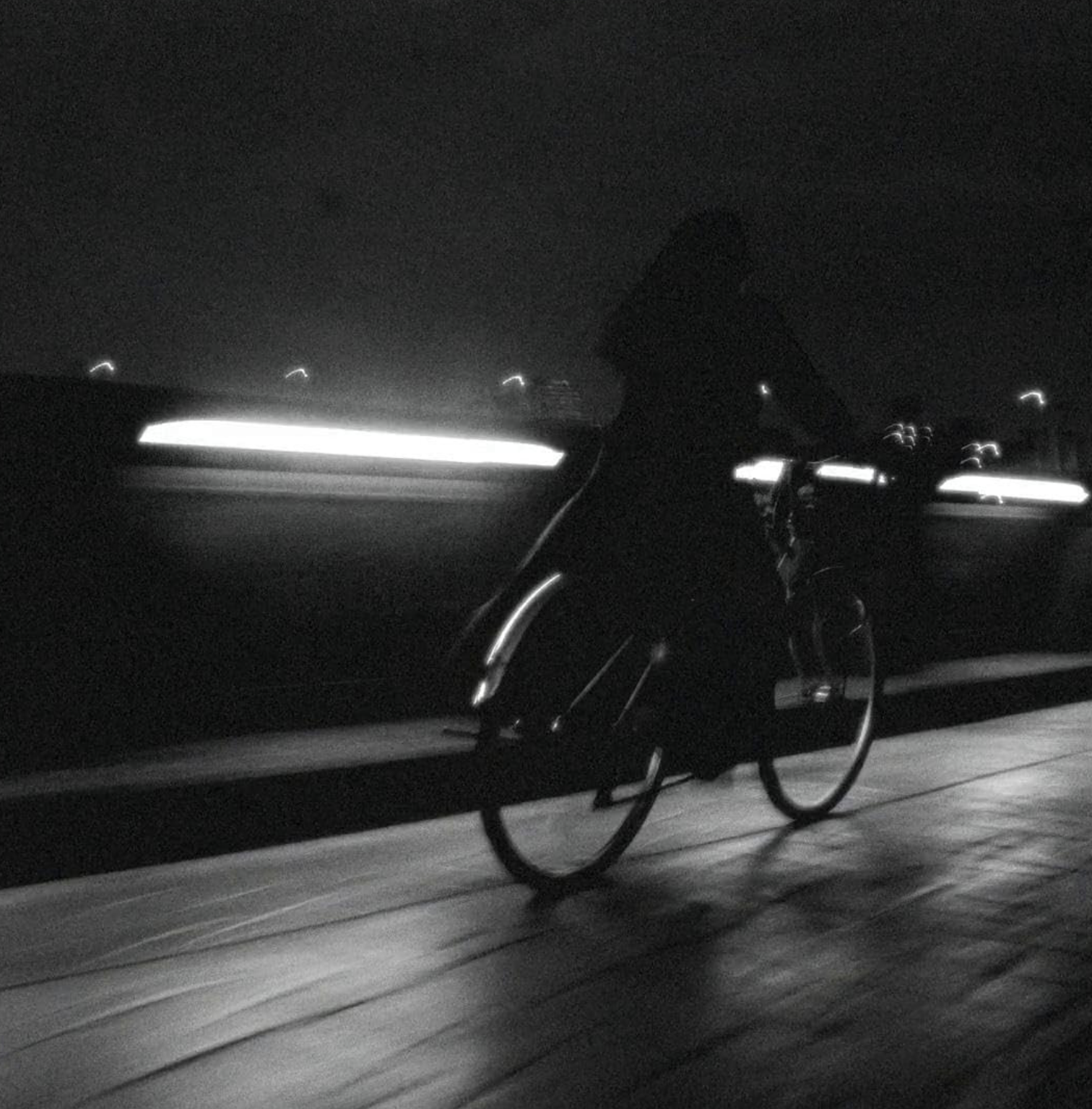 영화 퍼펙트 데이즈