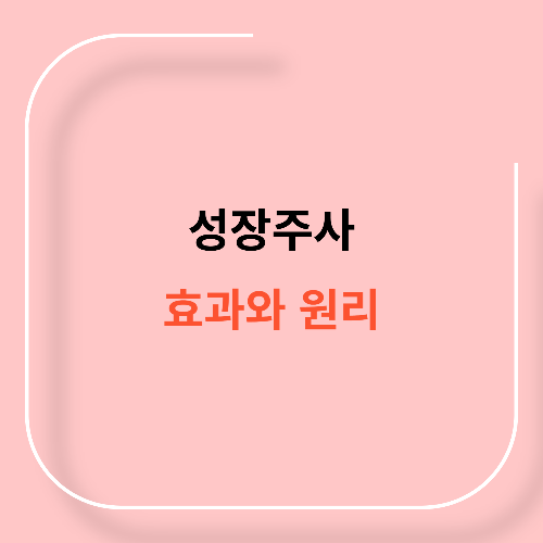 성장주사 효과와 원리11