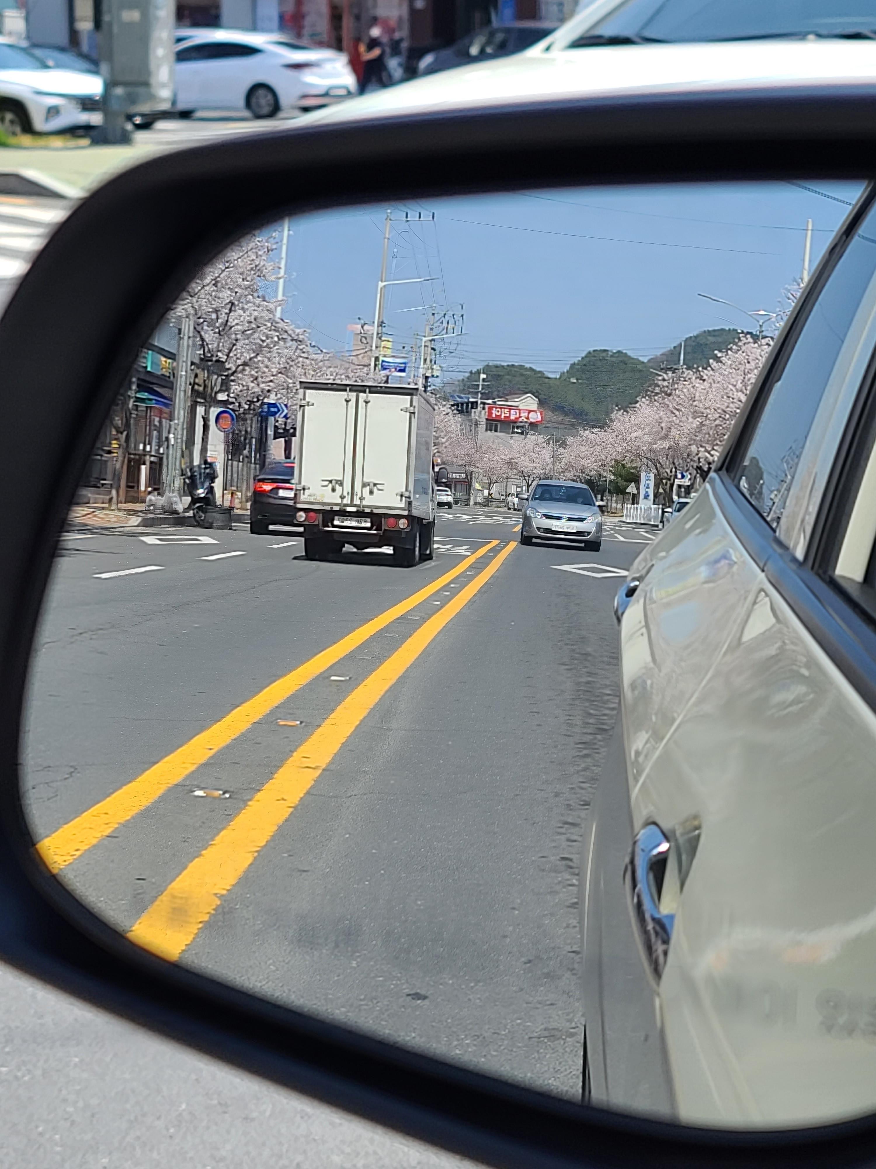 벚꽃이 활짝 펴서 벚꽃길이 되었다.