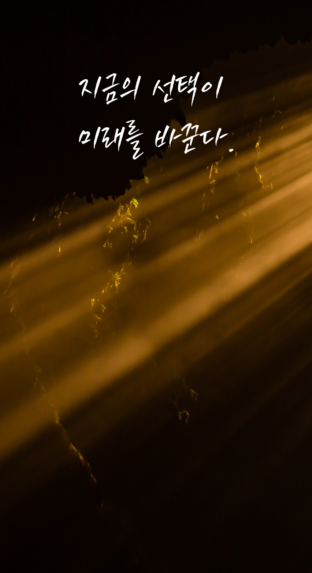 성공 글귀 짧고 좋은 글 명언 문구 배경화면 모음 이미지 사진 글