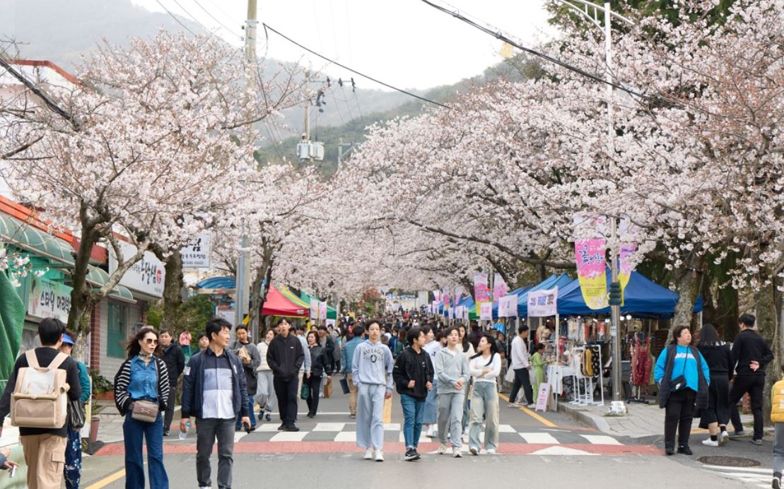 통영‘봉숫골 꽃나들이 축제’2년 연속 경남도 지역특화축제 선정