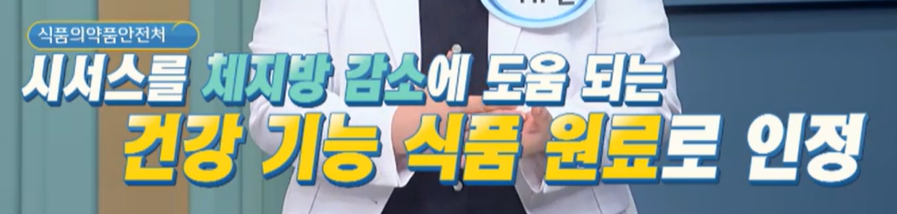시서스