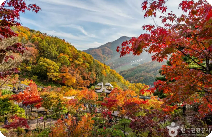 화담숲에서 10월 24일부터 11월 16일까지 단풍 축제가 열린다. [ 사진=한국관광공사]