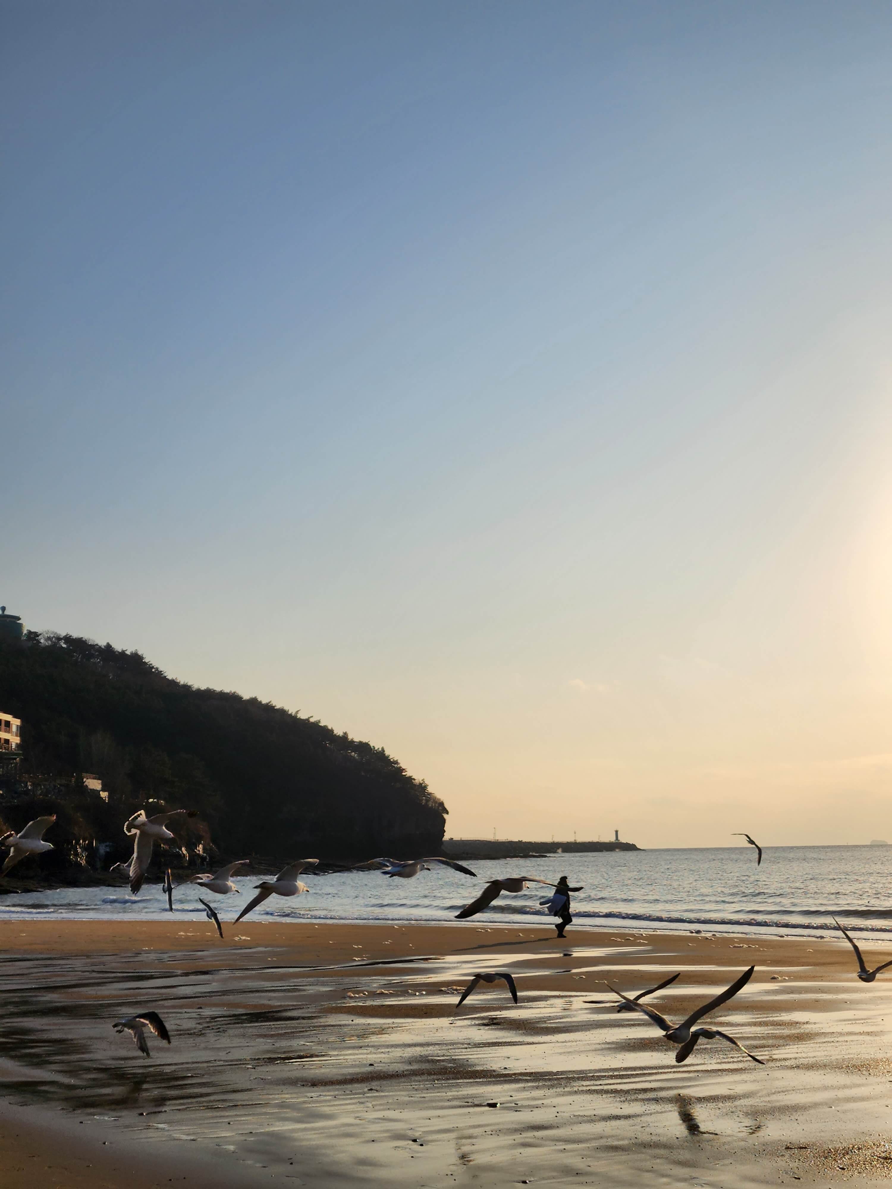 반려견과 변산반도여행 채석강