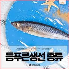 탈모두피