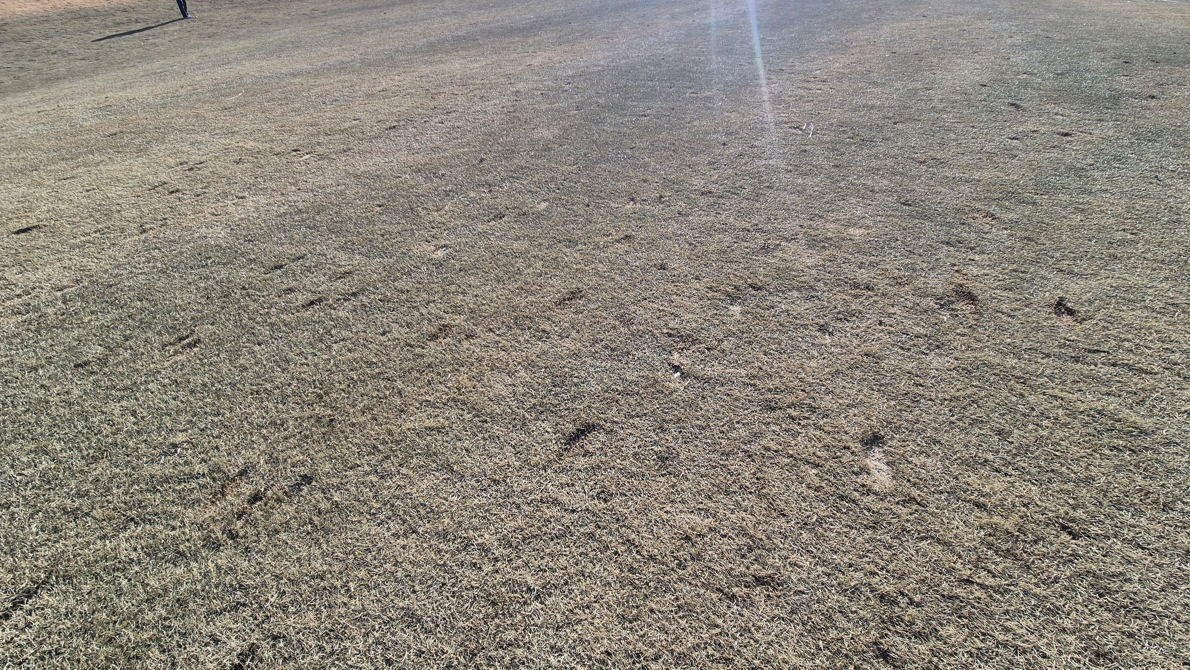 더크로스비gc 아리아-샬롯 코스 관리상태