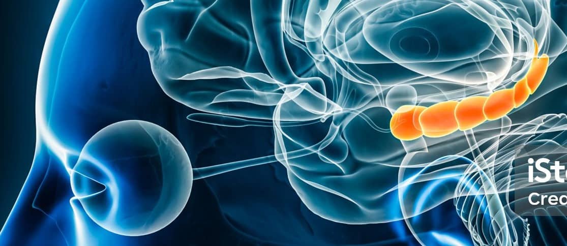 정신 건강에서 해마의 기능과 기억력 향상법