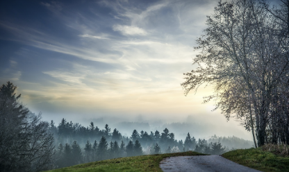 영월 법흥리 고택 마을 뒷산 폐길