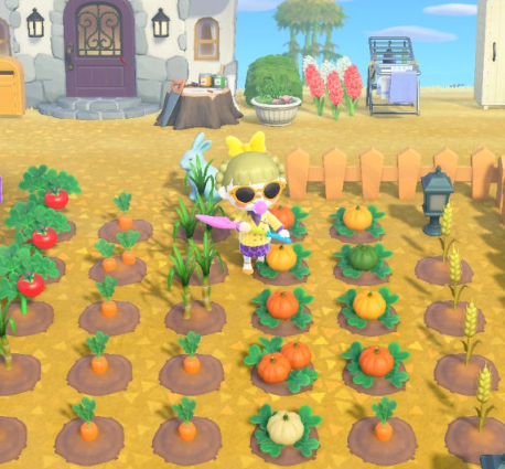 모동숲 추수감사절 이벤트