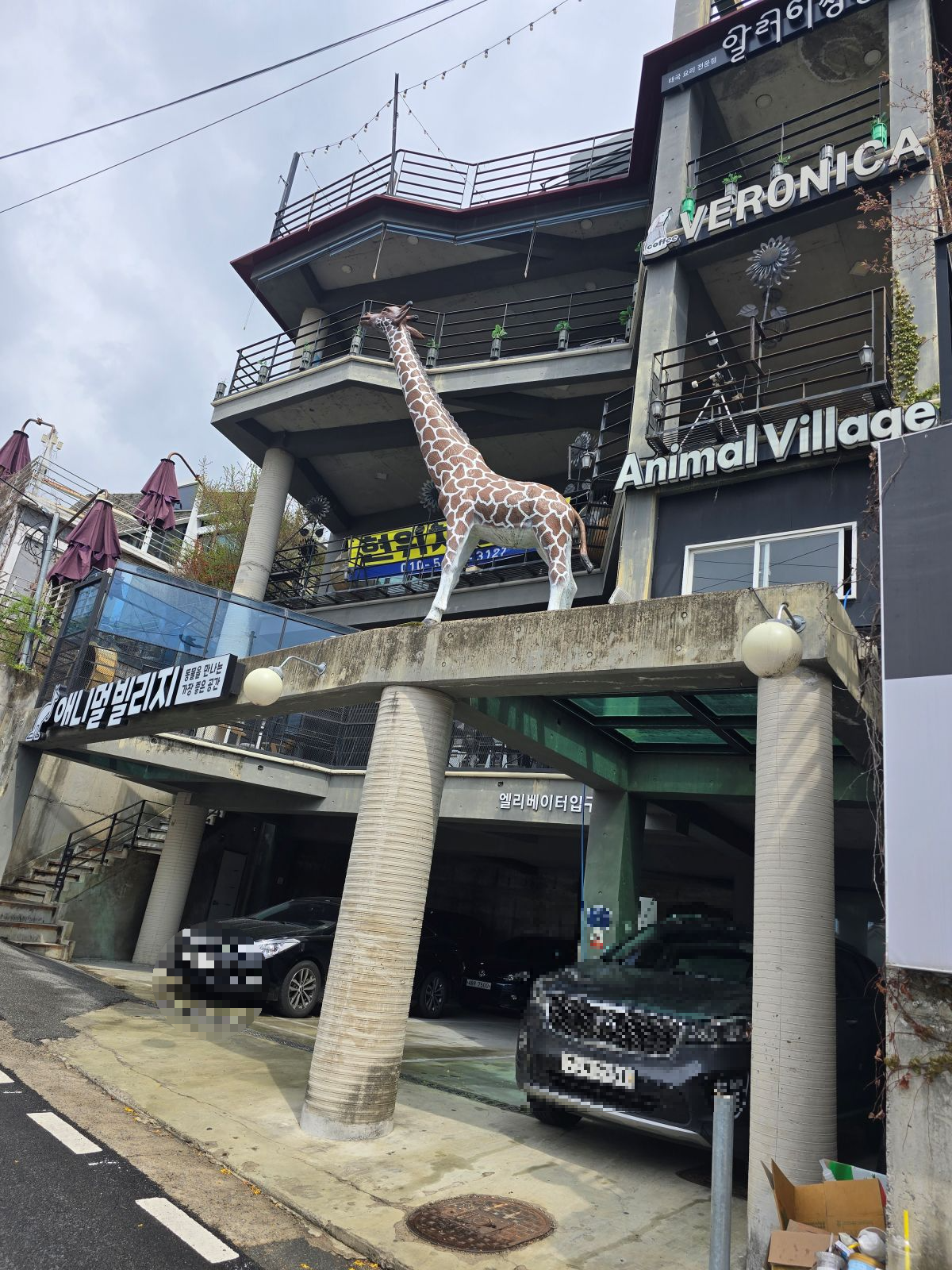 애니멀빌리지-건물-외관