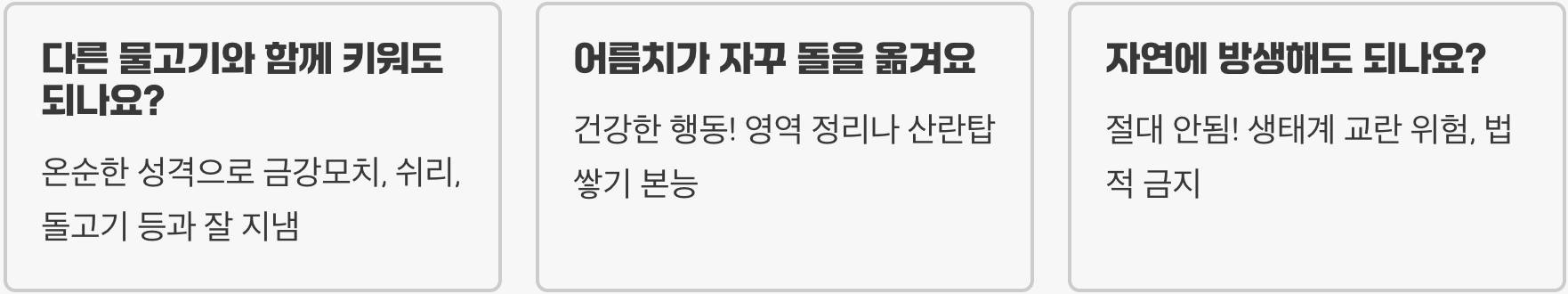 어름치 키우기 완벽 가이드 (어항, 먹이, 수질 관리)