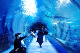 부산 겨울여행 1박 2일