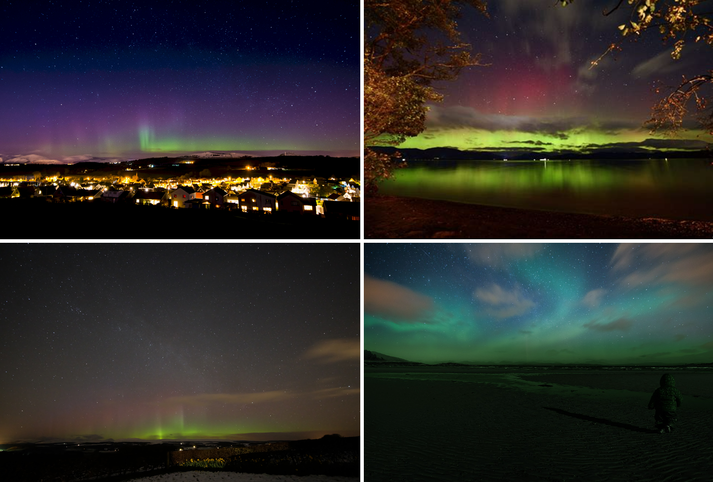 스코틀랜드 셰틀랜드 제도(Shetland Islands)