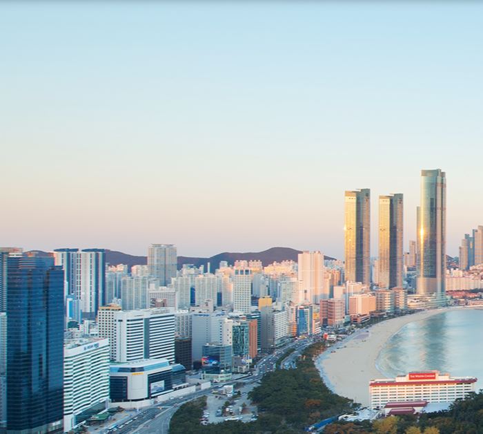 부산시티투어 예약 요금 및 이용방법