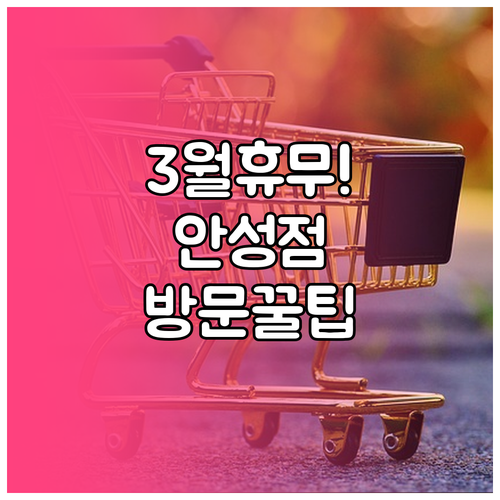 안성 트레이더스 3월 의무 휴업일과 ..