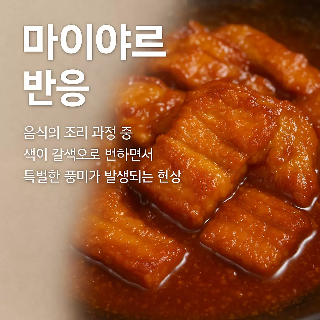 마이야르 반응? 그게 뭔데 이렇게 맛있어지는 건데?! 지금 이 갈색빛의 비밀, 꼭 눌러보세요.