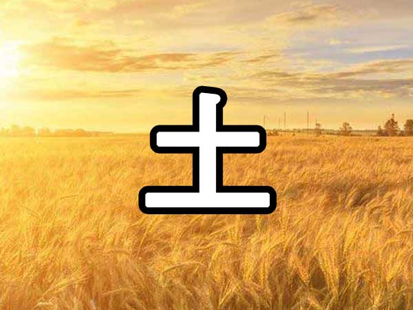 사주 토 썸네일