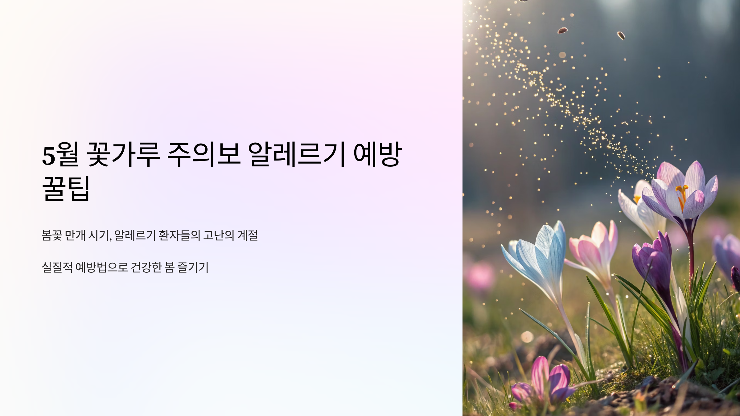 5월 꽃가루 주의보 알레르기 예방 꿀팁
