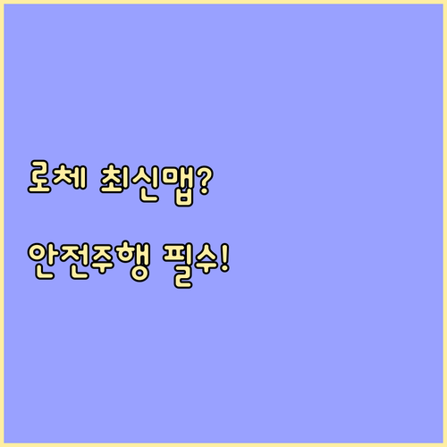 로체 네비게이션 최신 맵 확보로 안전..