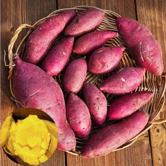 고구마 생고구마 칼로리 고르는 방법_8