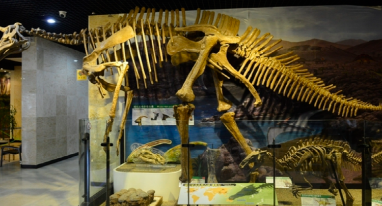 안면도 쥬라기박물관