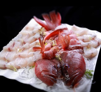 비브리오 패혈증 주의보! &ldquo;덜 익힌 해산물 위험해요&rdquo; 증상과 예방법