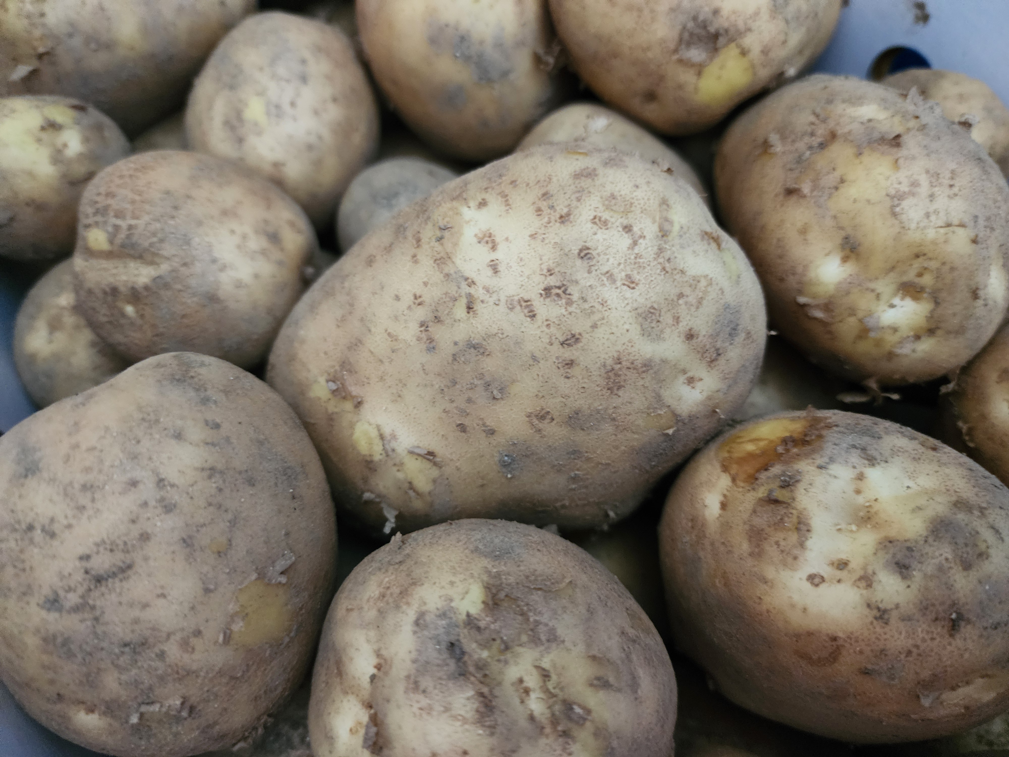 감자전 레시피, 믹서기 감자전