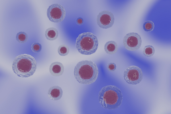 세포의 구조와 기능