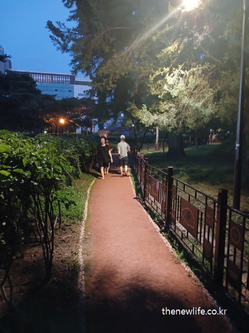 야간에 황토길 맨발 걷기를 하며 지압 효과를 체험하는 사람들