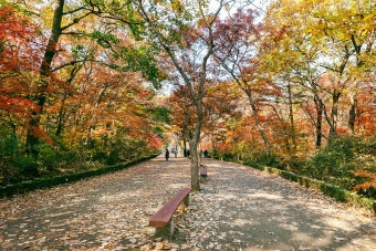 광릉수목원