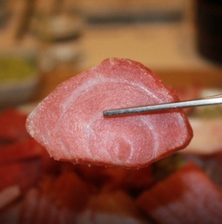 생생정보 고성 참치숯불구이 참치회 맛집(믿고 떠나는 스타의 고장 손범수)