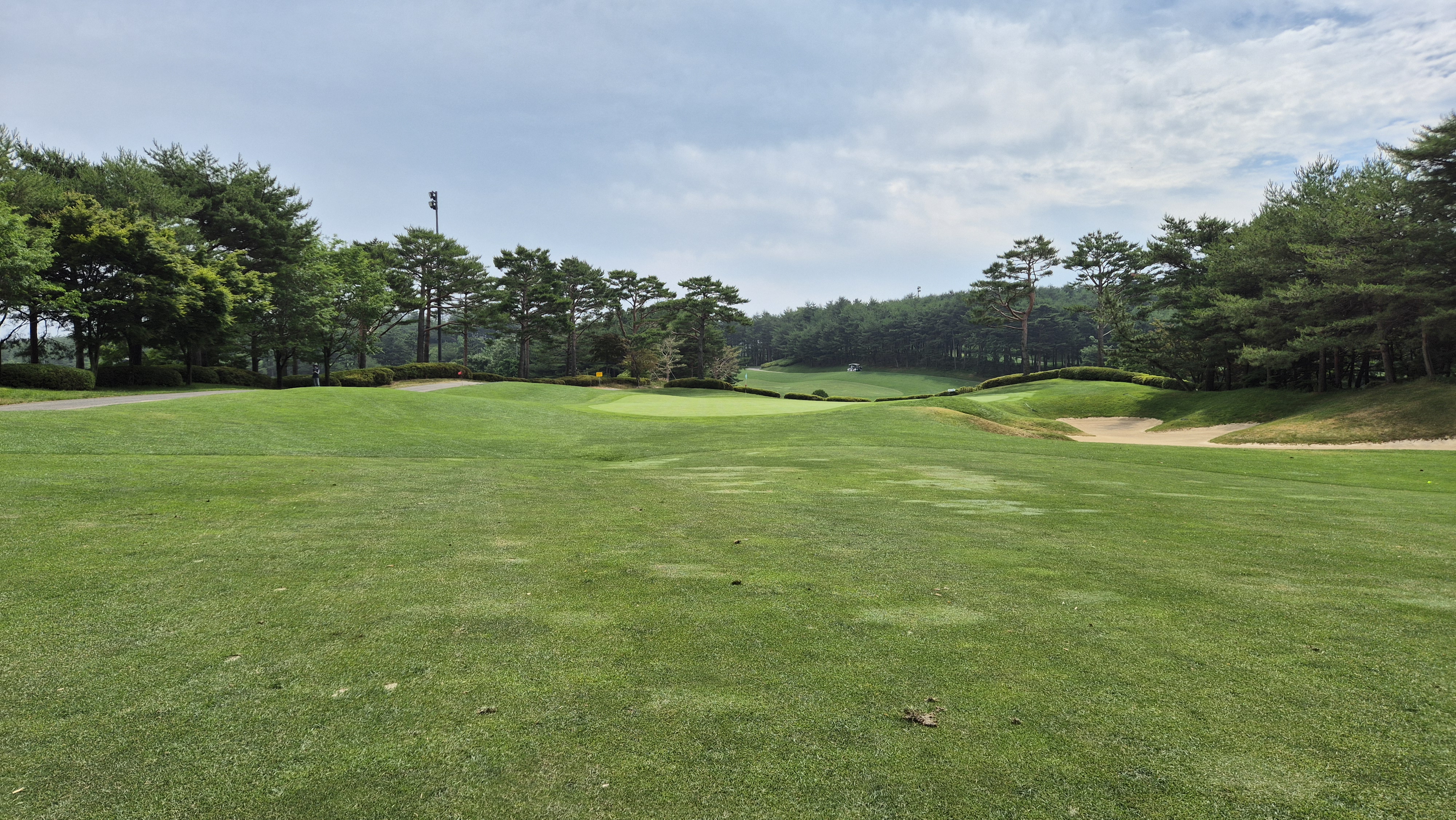 파인리즈cc 후기 및 코스사진