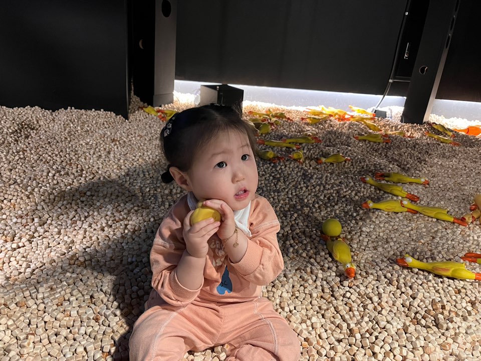 워너두칠드런스뮤지엄