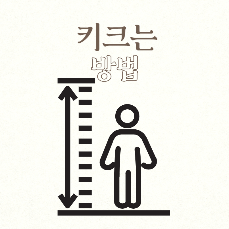 키크는 방법